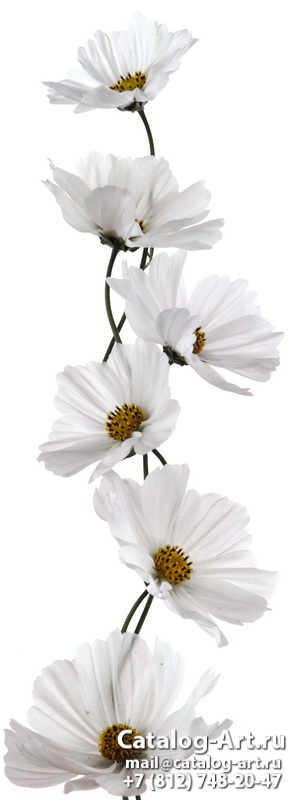 White flowers 9